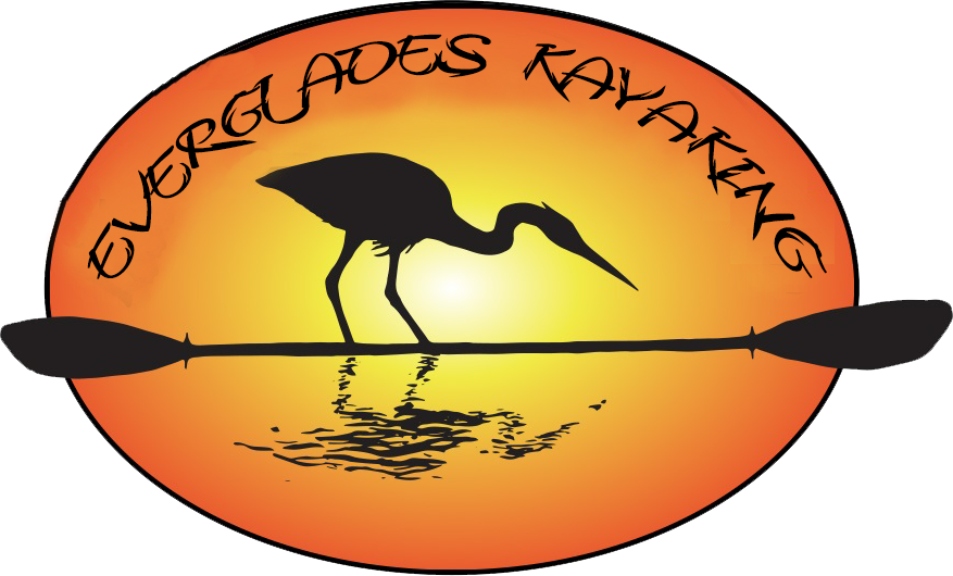 Everglades Kayaking