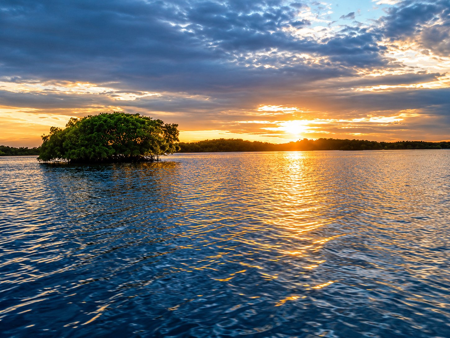 Everglades National Park Kayak Tours