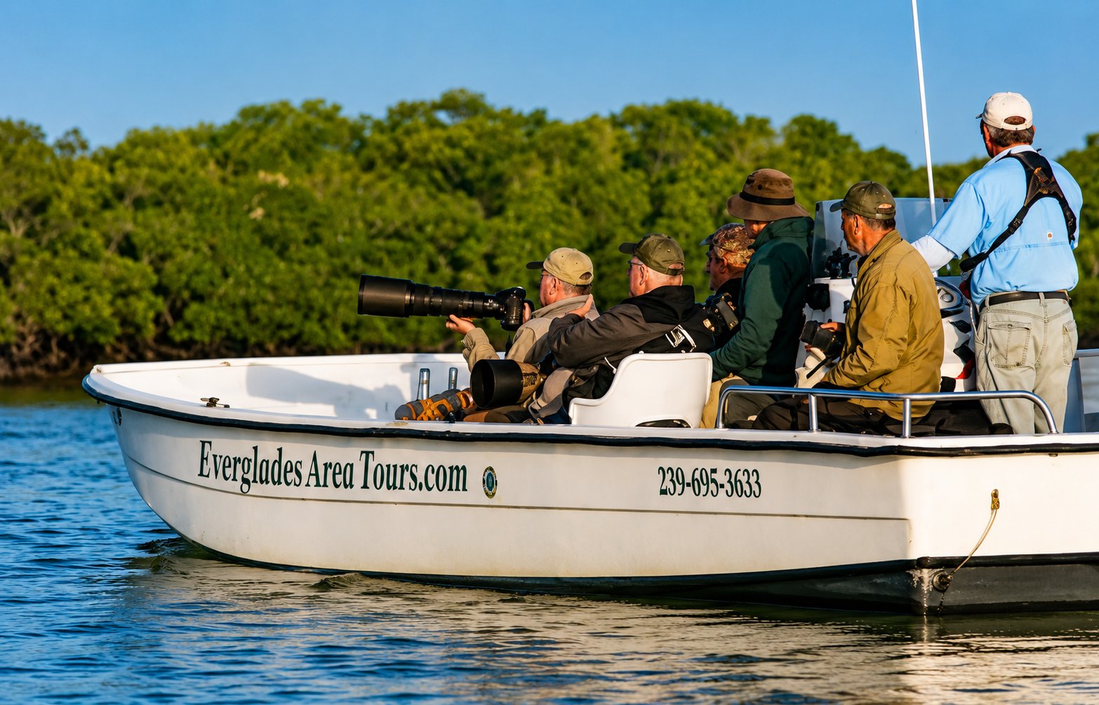 Wildlife Photography Everglades