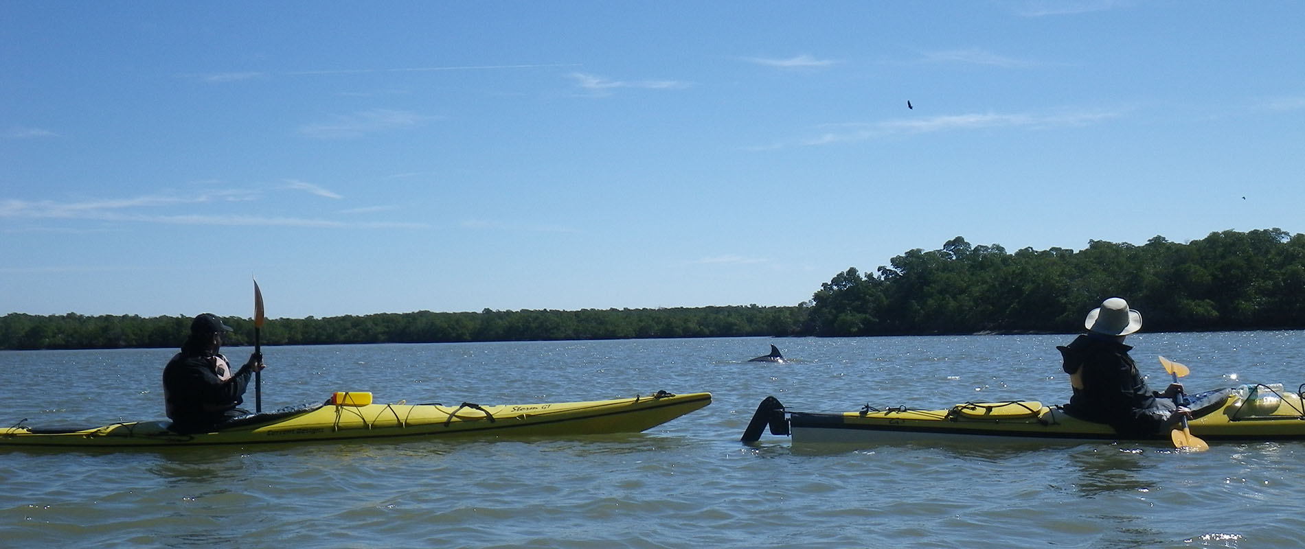 turner river kayak tours