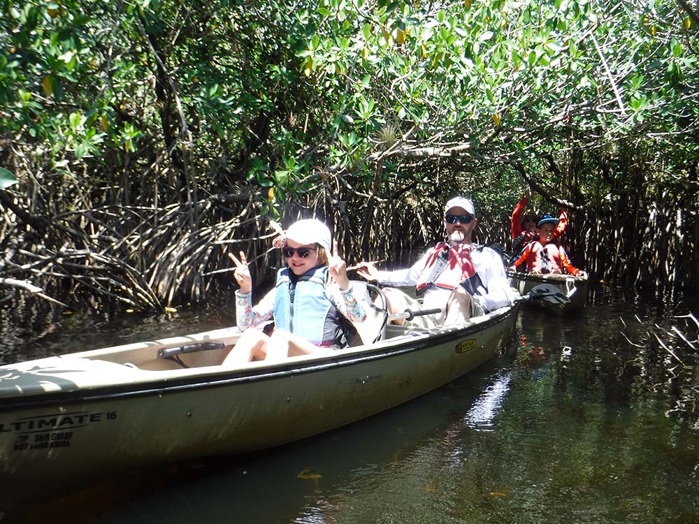 everglades mangrove kayak tour